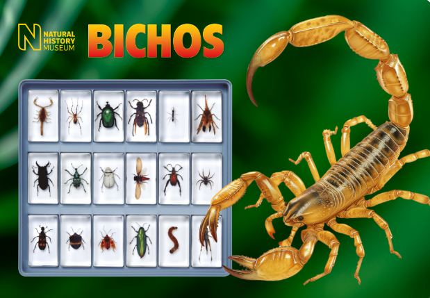 Bichos: Coleccionable de RBA