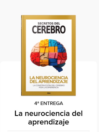 Secretos del Cerebro. Coleccionable de RBA Cuarta entrega: La neurociencia del aprendizaje
