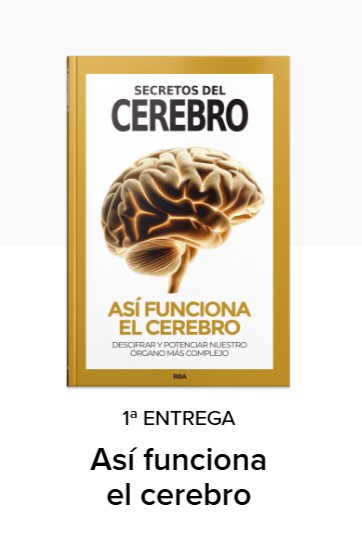 Secretos del Cerebro. Coleccionable de RBA Primera entrega: Así funciona el cerebro